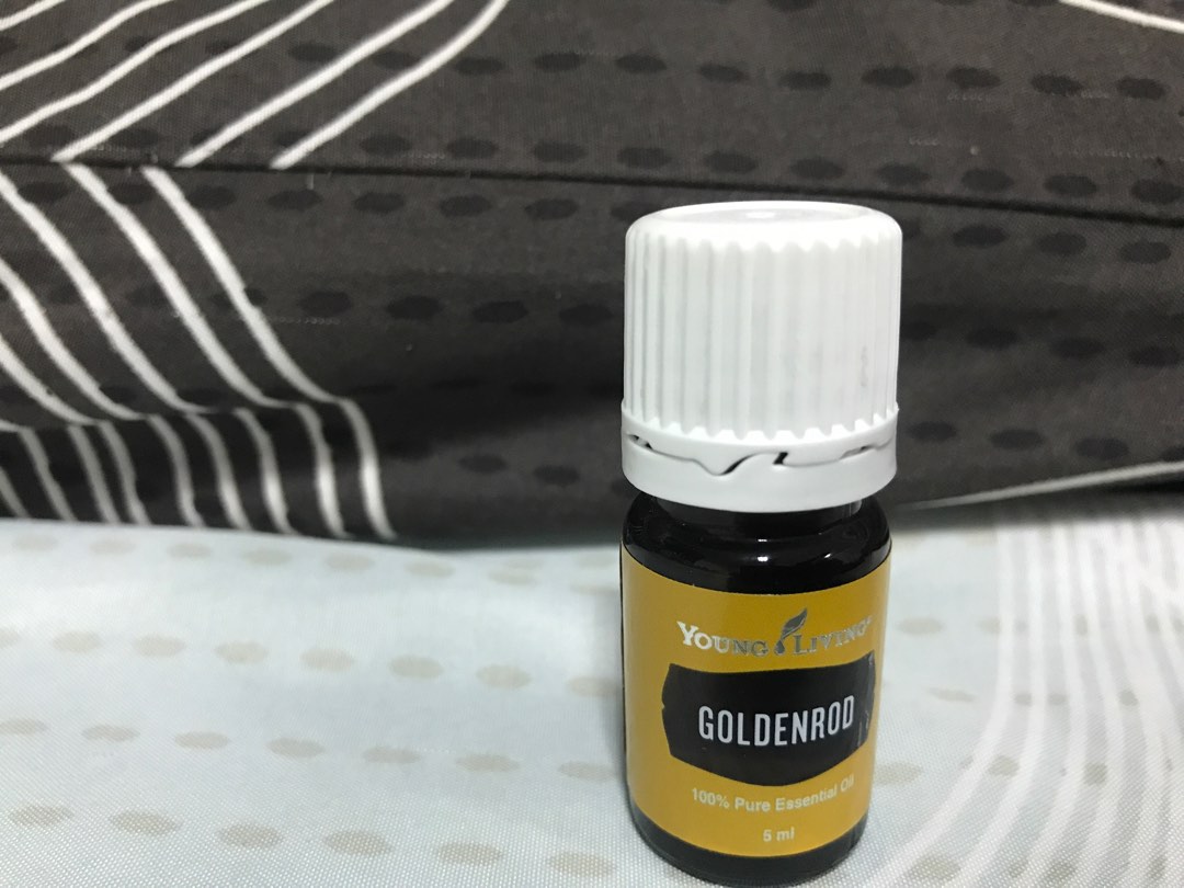 Young Living Goldenrod Essential Oil 5ml, Furniture & Home Living, Home