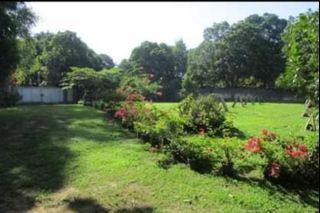 10,000sqm farm lot with house