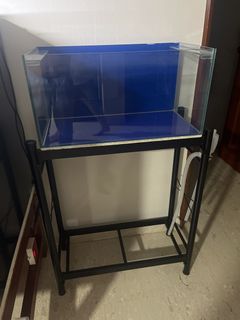 (Category: ) located in . Submitted by aquafanactic (Listing ID 1252671921, Image 1). Description: .