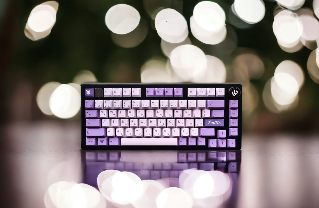 75% Custom Mechanical Keyboard (FrostWitch0309) - Fully Modded ...
