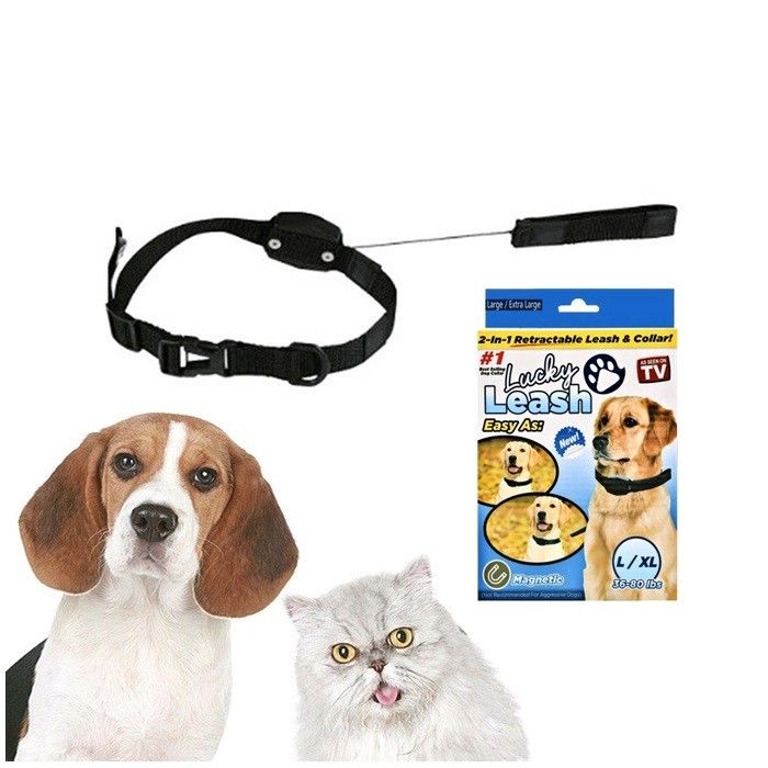 Lucky leash harness 2025