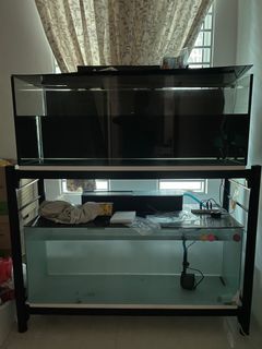 Aquarium 4 kaki