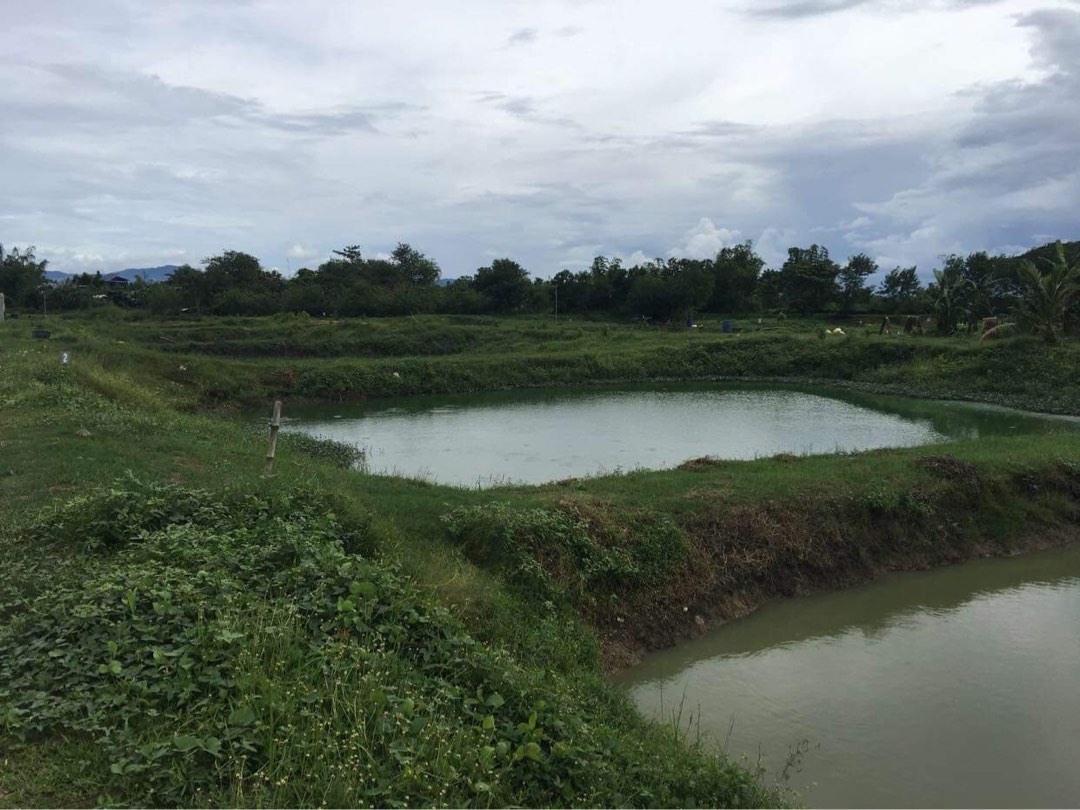 Farm for sale san miguel bulacan 6 hectares, Property, For Sale, Lot on