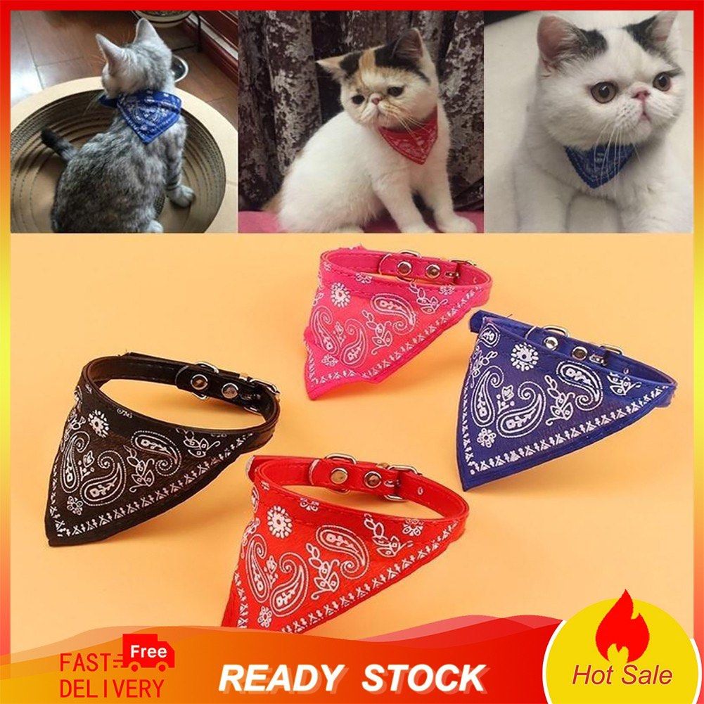 Japanese cat collar with bell - buy 2 for cheaper, Pet Supplies, Homes &  Other Pet Accessories on Carousell