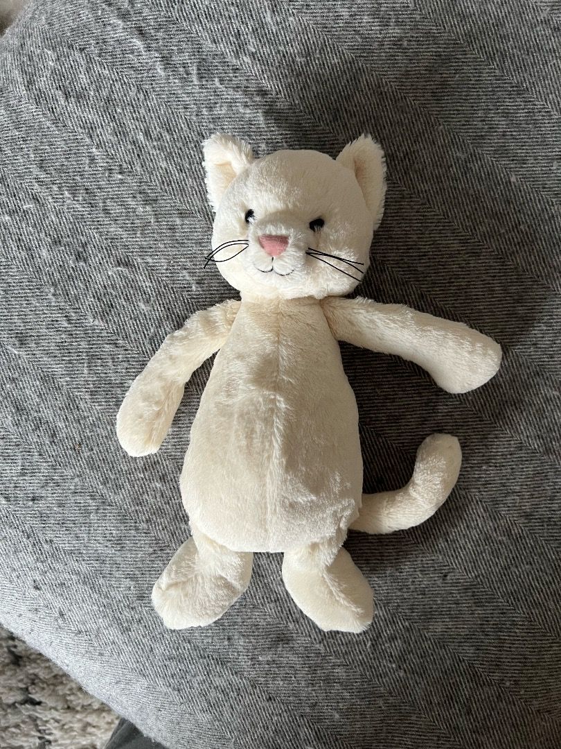Jellycat hot sale bashful kitten