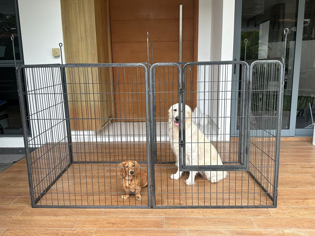 Large dog playpen, Pet Supplies, Homes & Other Pet Accessories on Carousell