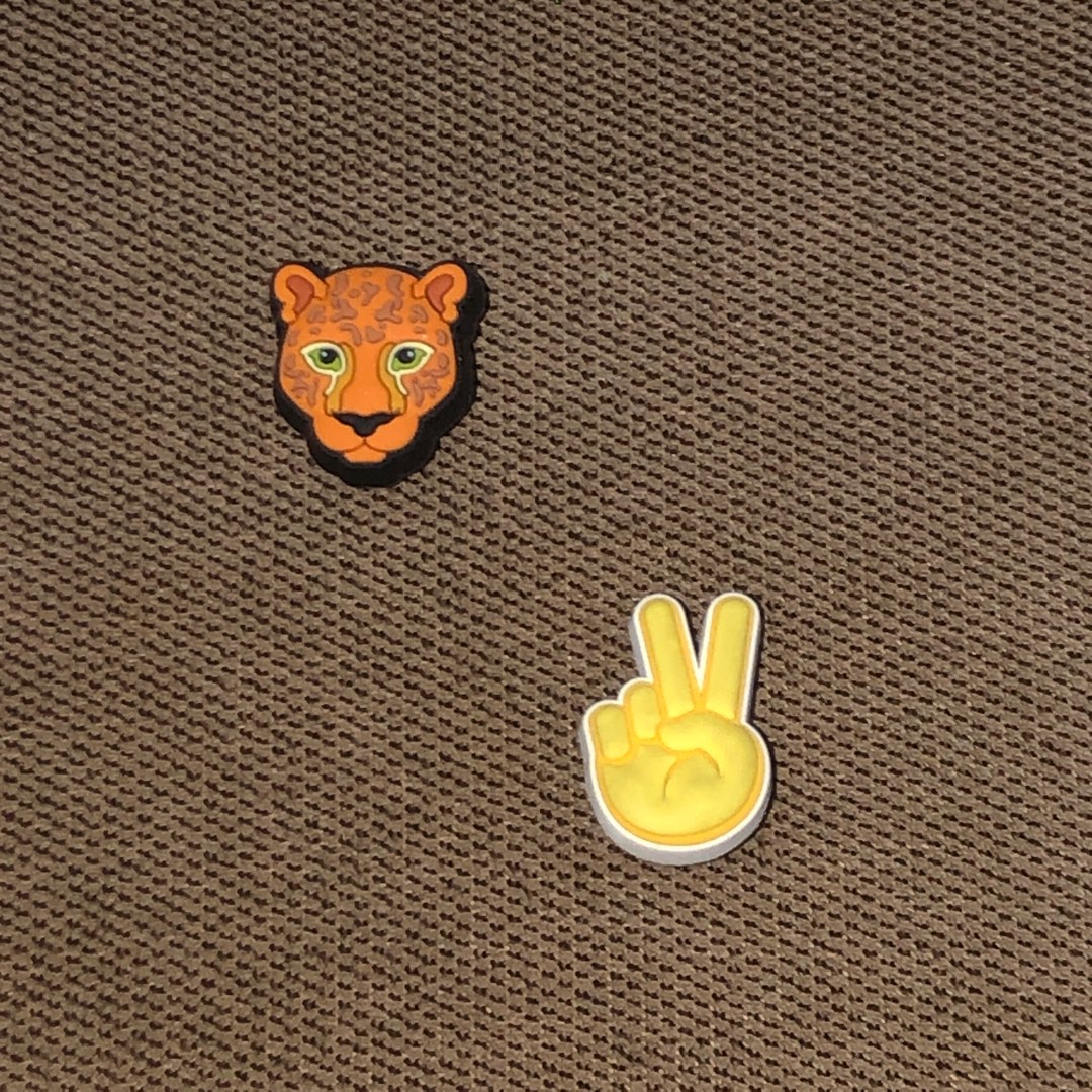 bling jibbitz charms