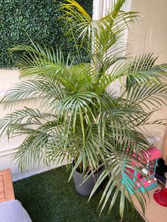 （分類：）位於 。 由 julietkilo 提交（商品編號 1252665918，圖片 1）。簡介： 。