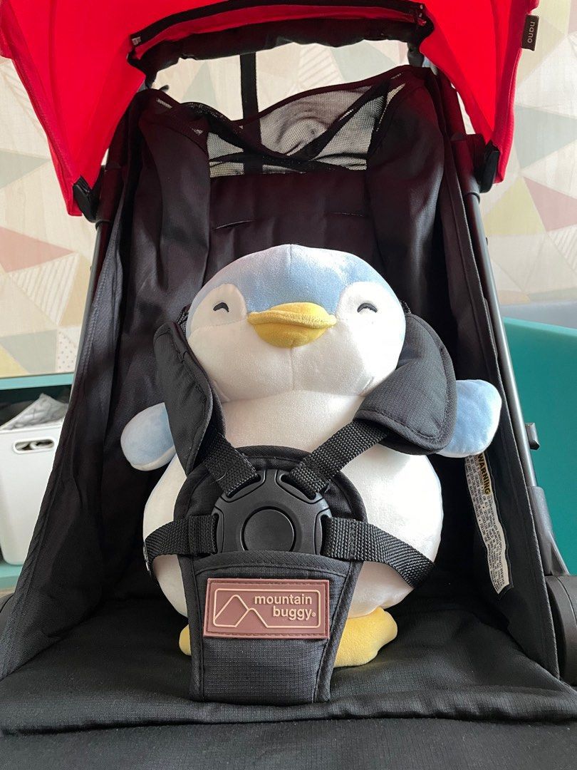 Second hand mountain buggy hot sale nano