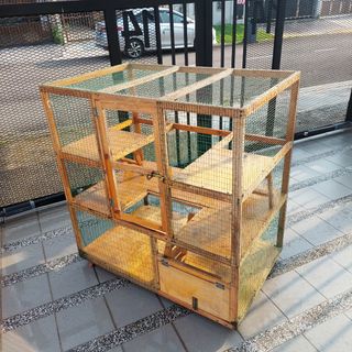 (Category: ) located in . Submitted by richpaperstudio (Listing ID 1252594655, Image 1). Description: .
