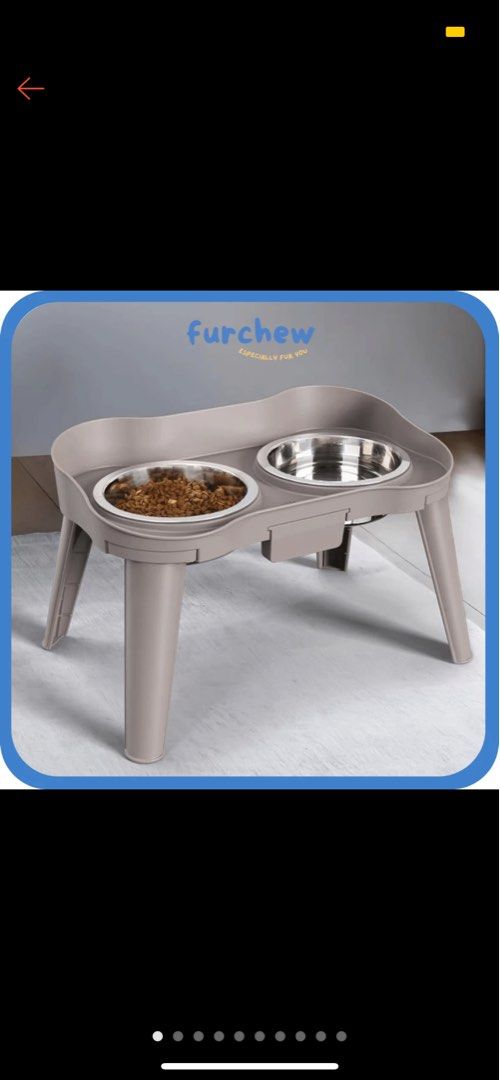 Elevated feeder deals for dogs