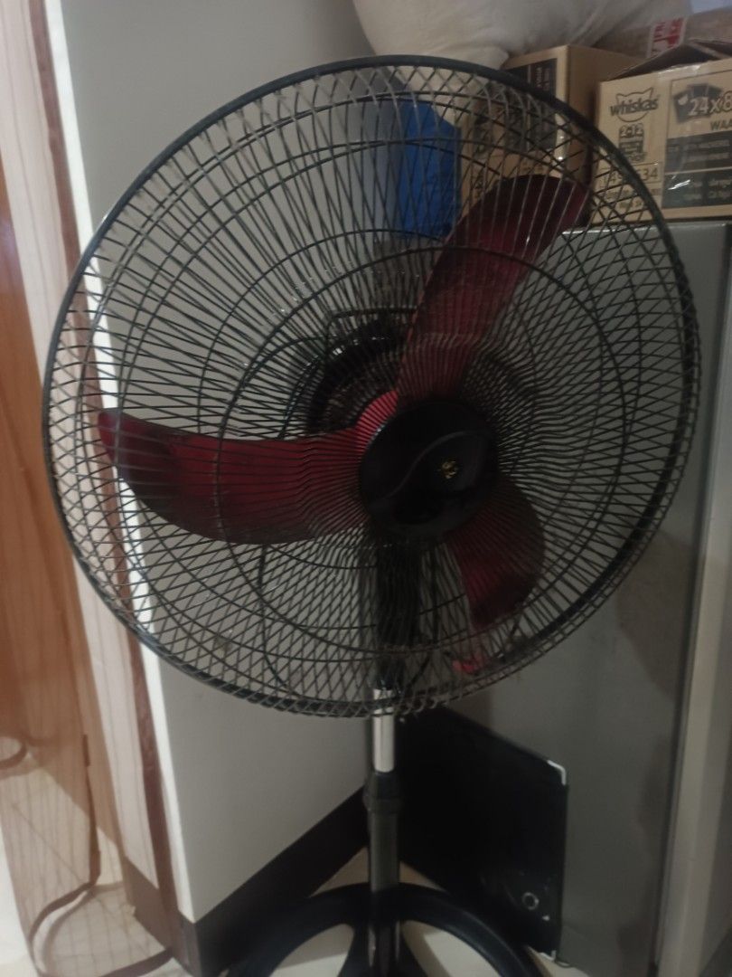Standard Electric Fan 19