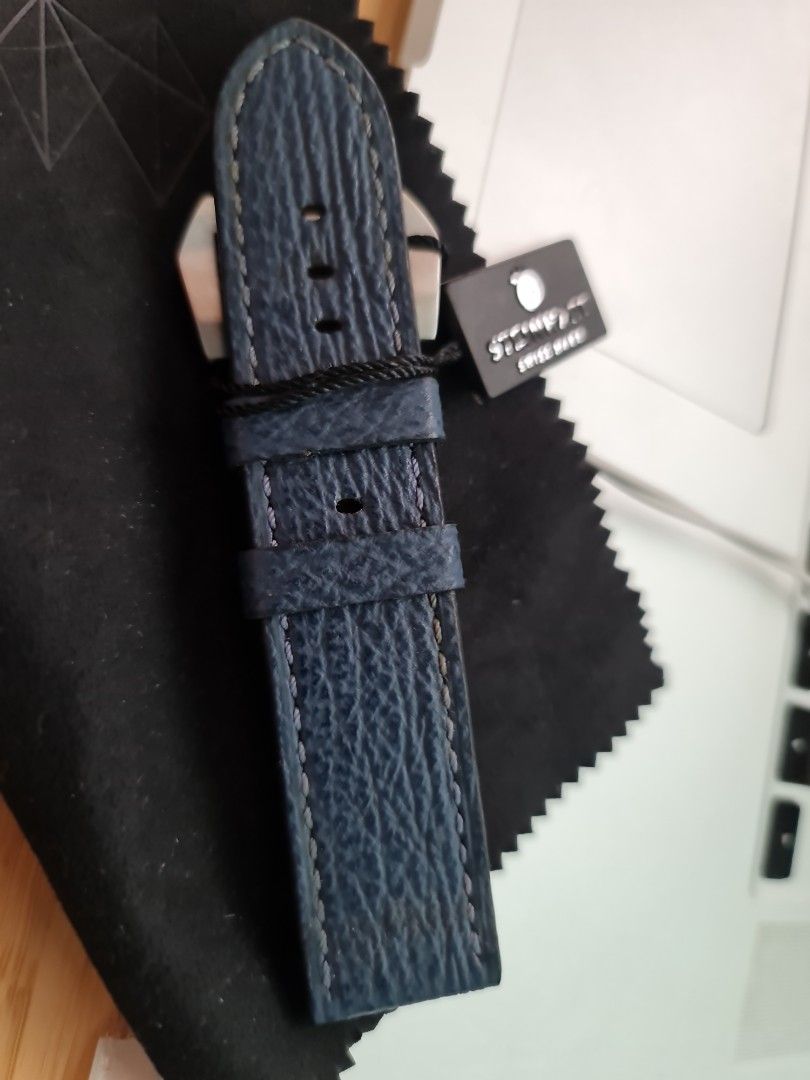 Steinhart shop white shark