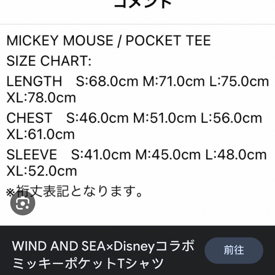 トップ WIND WIND AND MOUSE SEA TEE Mickey TEE L SEA Mouse MICKEY ...