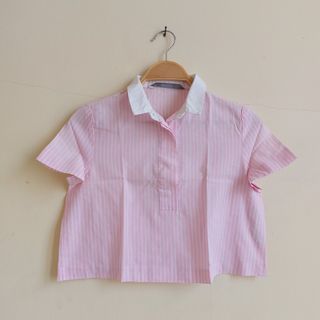 Zara Pink Striped Crop Shirt