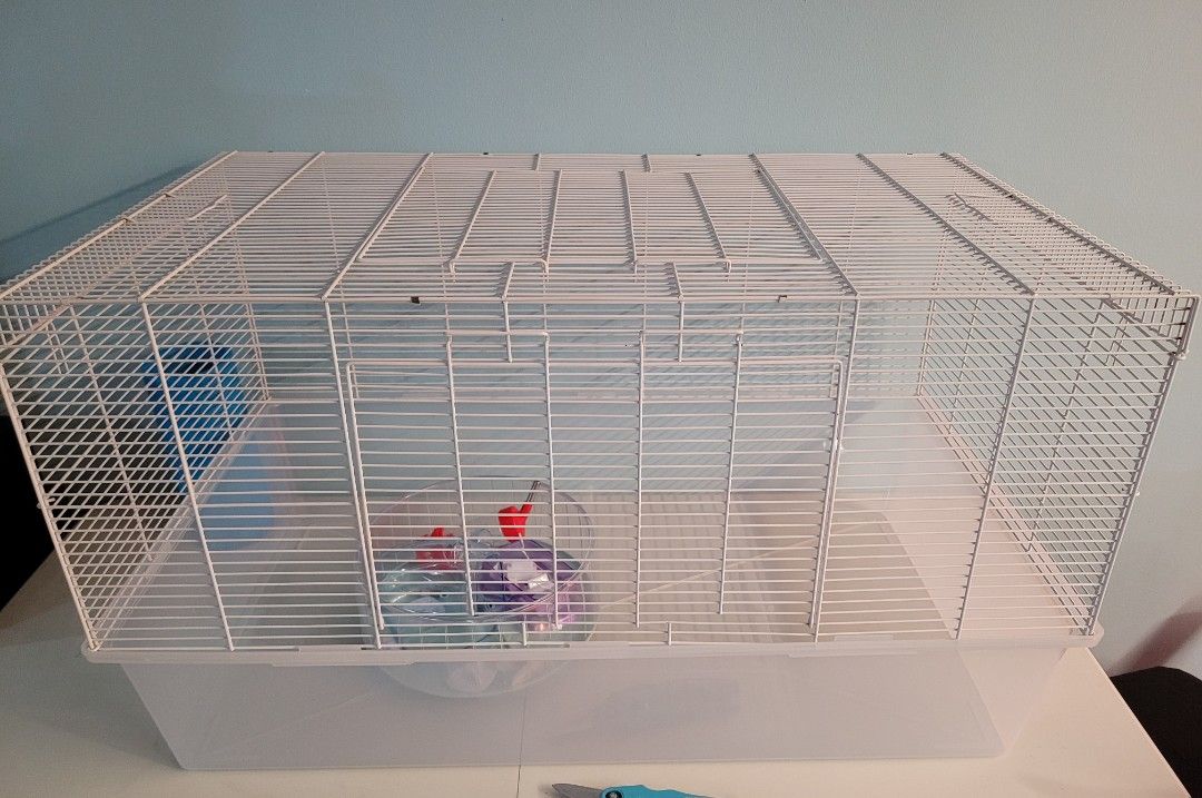 80cm Hamster Cage with wheel, Pet Supplies, Homes & Other Pet ... - Tortoise Hamster Cage With Comfortable And Safe Wheel