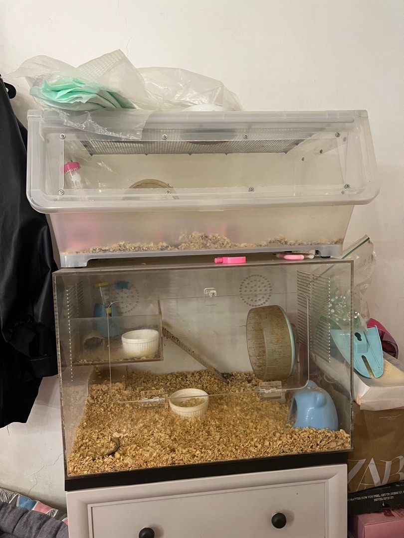 Bin for hamster sales