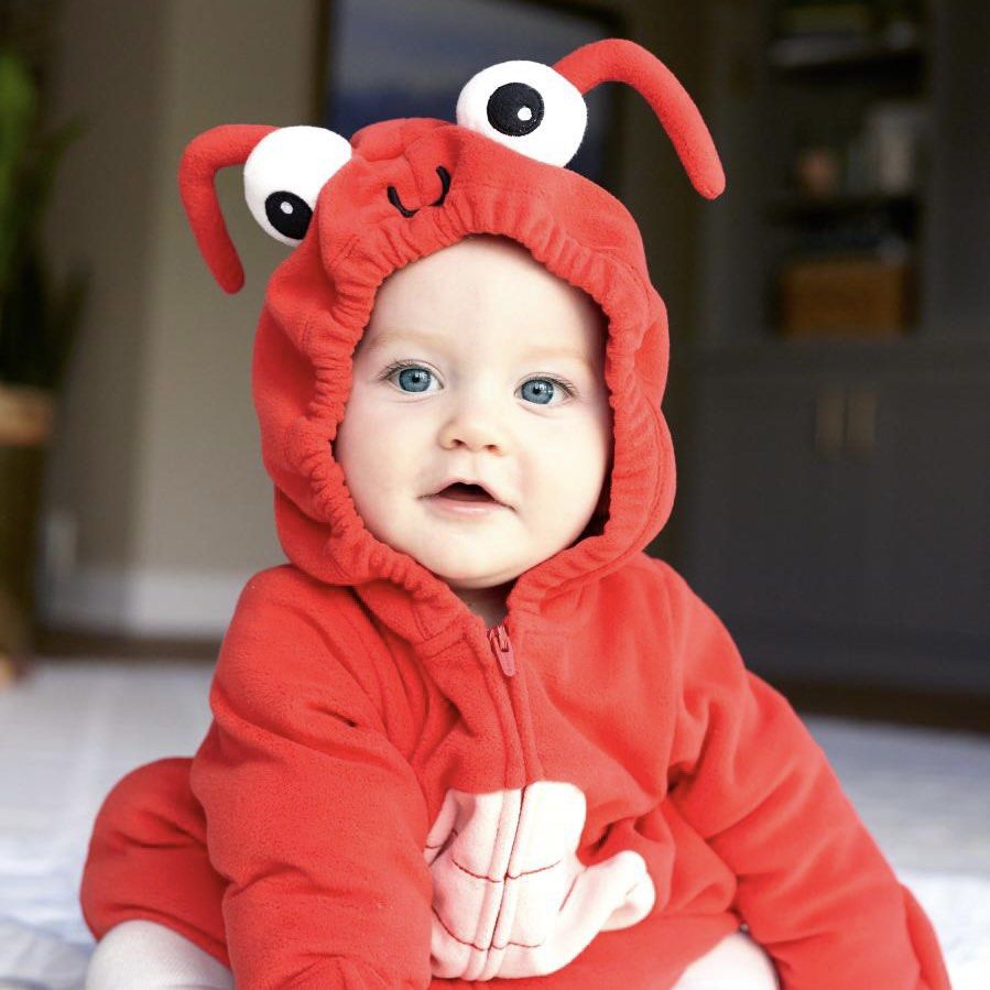Carter’s Baby Halloween Costume Lobster, Babies & Kids, Babies & Kids