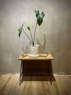 （分類：）位於 。 由 siu.wooo 提交（商品編號 1257630146，圖片 1）。簡介： 。