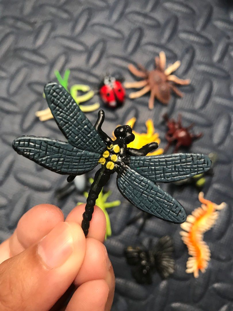 Creepy Insects Toys, Hobbies & Toys, Toys & Games on Carousell