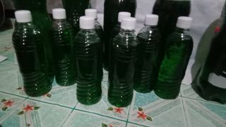 dishwashing liquid Calamansi