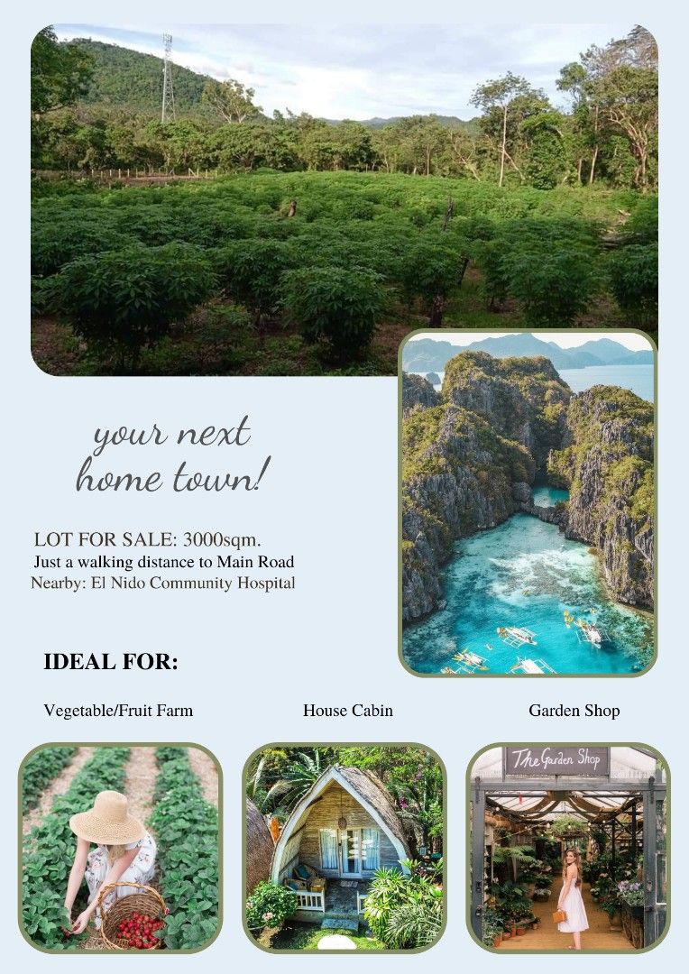 EL NIDO FARM LOT, Property, Rentals, Lot on Carousell