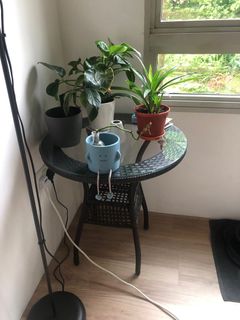 (Category: ) located in . Submitted by checro (Listing ID 1257525369, Image 1). Description: .