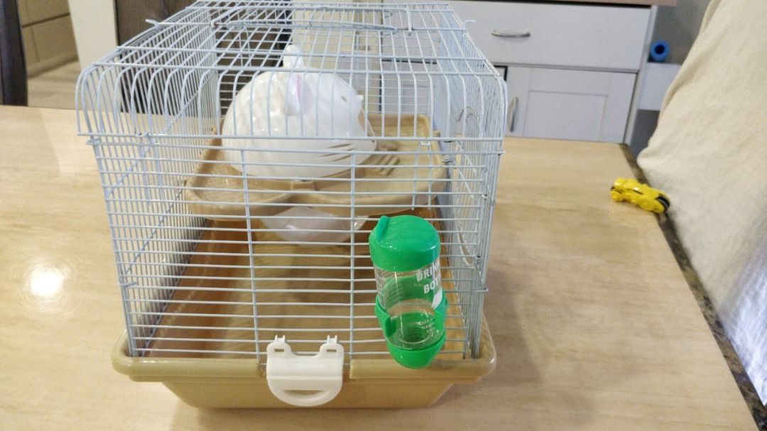 Hamster cage ottawa deals
