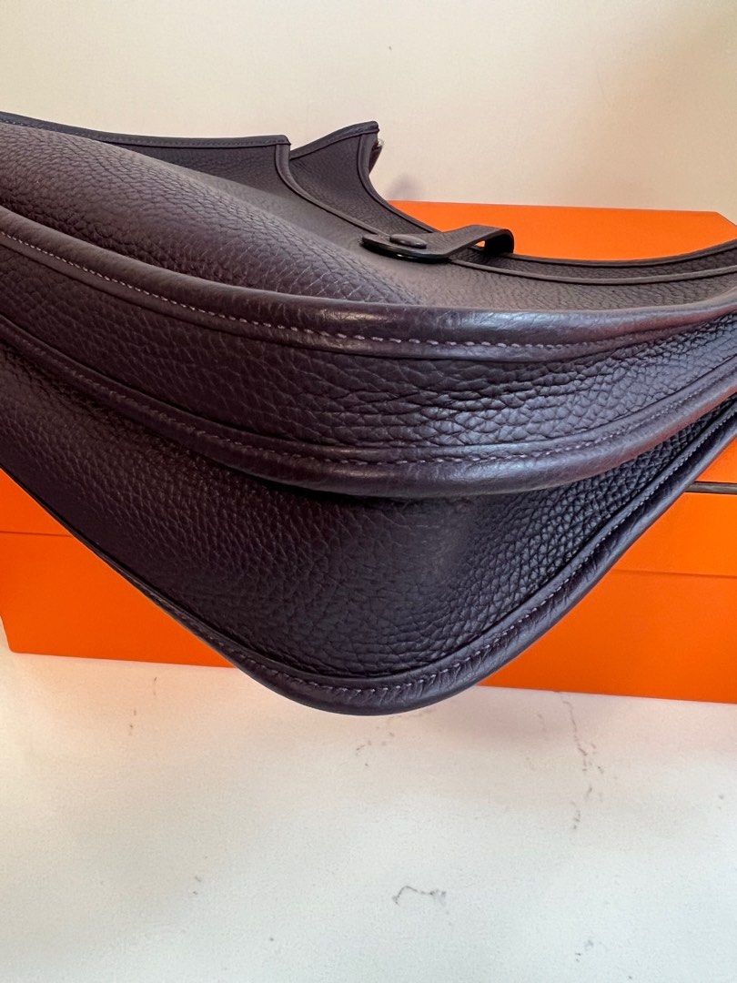 hermes evelyne raisin