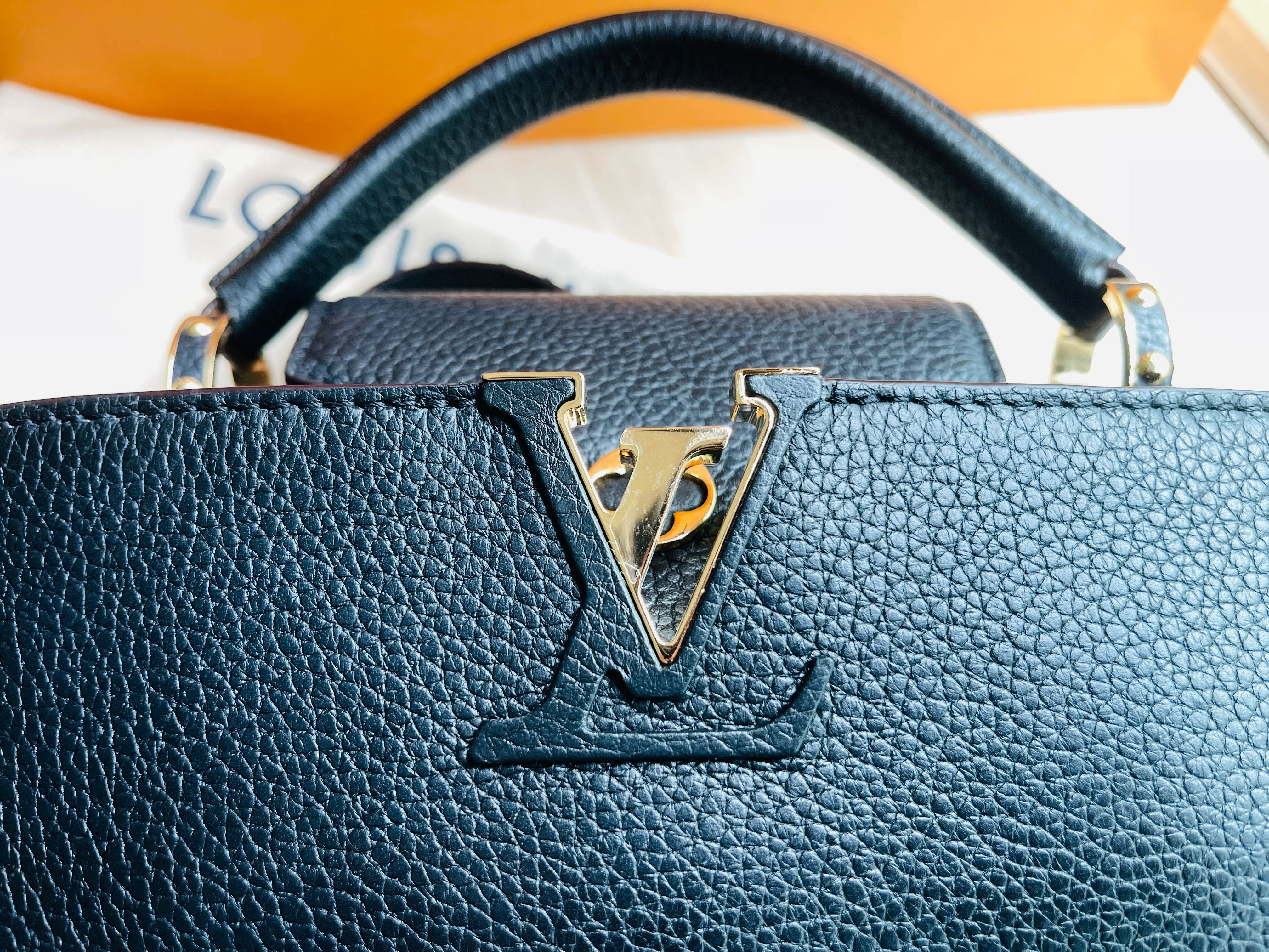 Bag Organizer for Louis Vuitton Capucines PM (Set of 2)