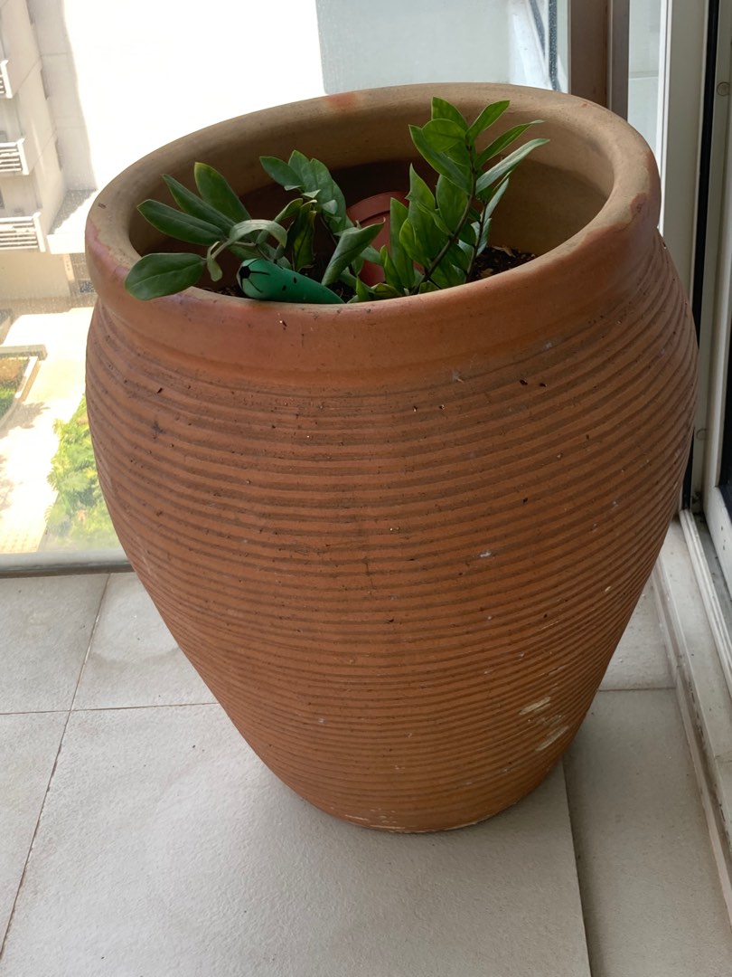 Plant pots & 4 steps aluminium ladder (slightly rusty) giving away free