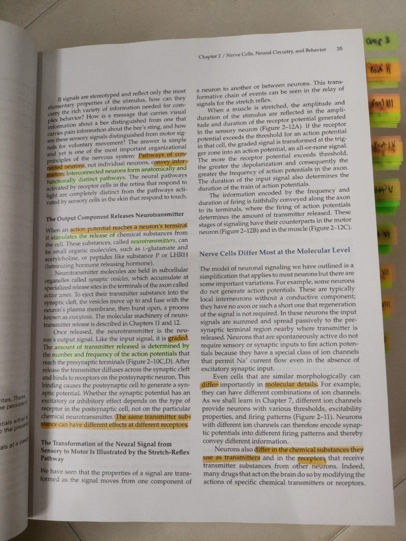 Principles of Neural Science, Hobbies & Toys, Books & Magazines ...