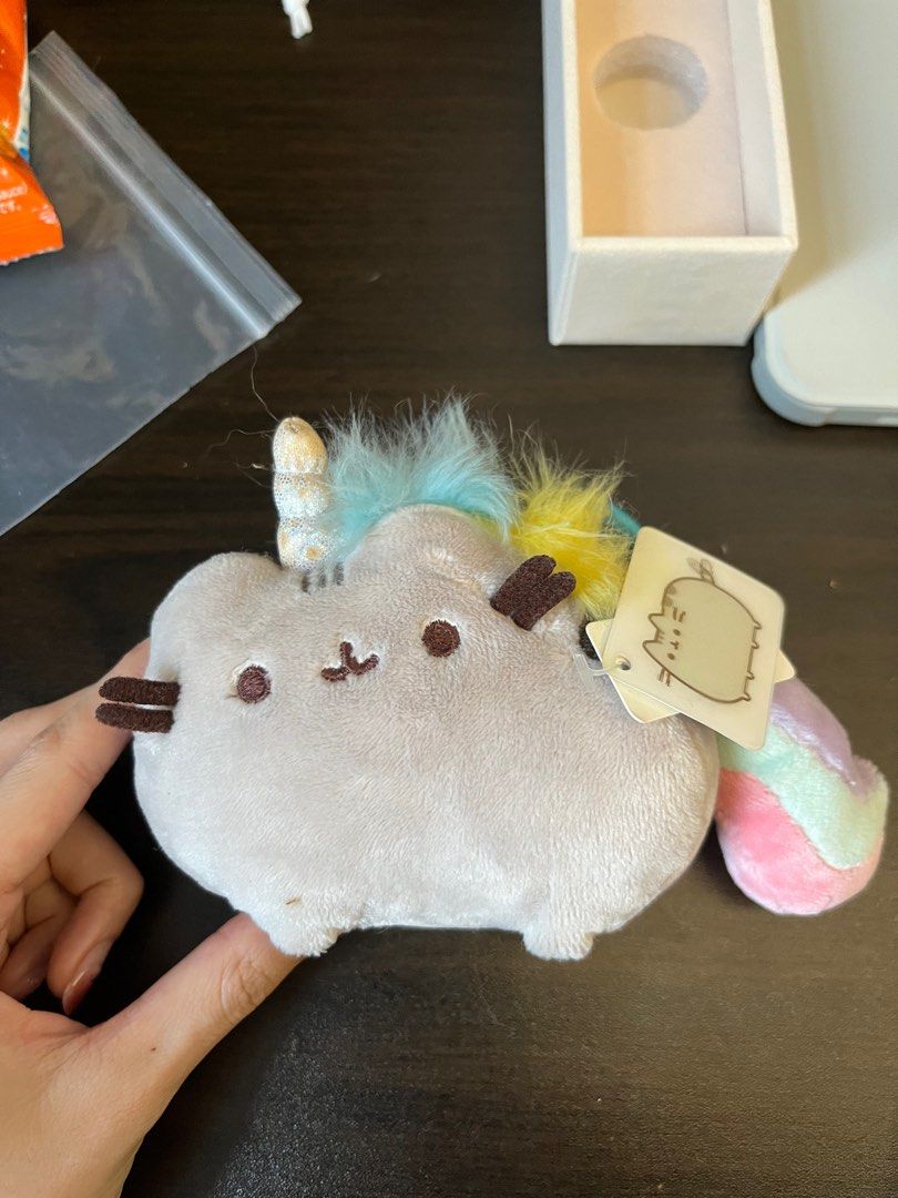 pusheen keyring