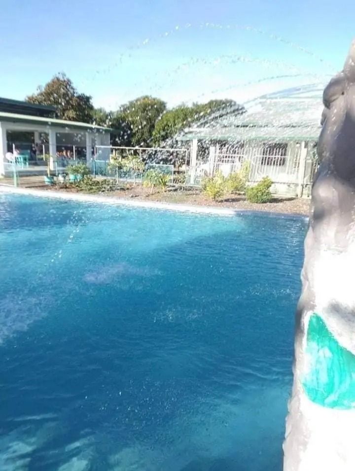 VACATION RESTHOUSE, POOL RESORT WITH RICE FARM 5,879 sqm, Property ...