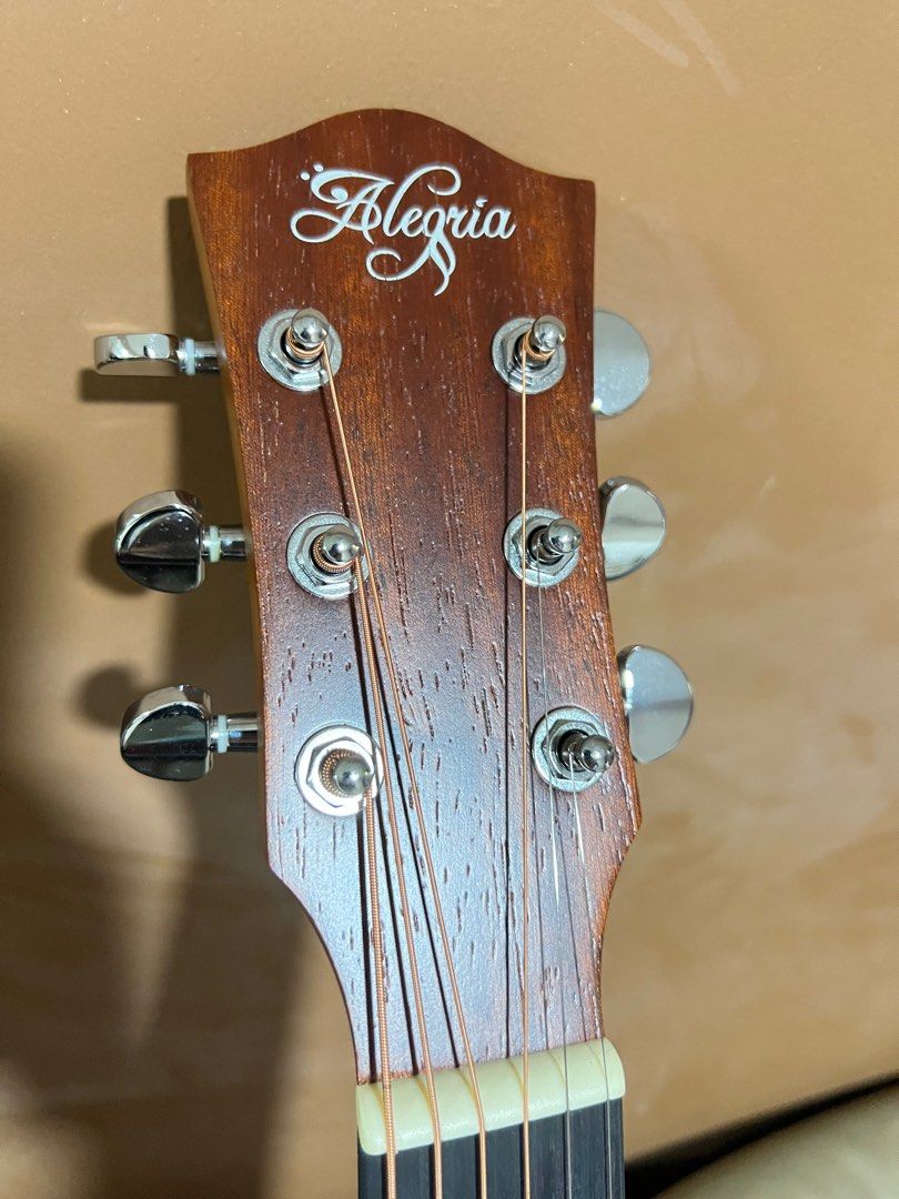 Alegria AGT120 Guitar, Hobbies & Toys, Music & Media, Musical ...