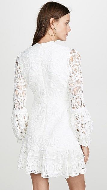 Alexis liliyan deals lace mini dress