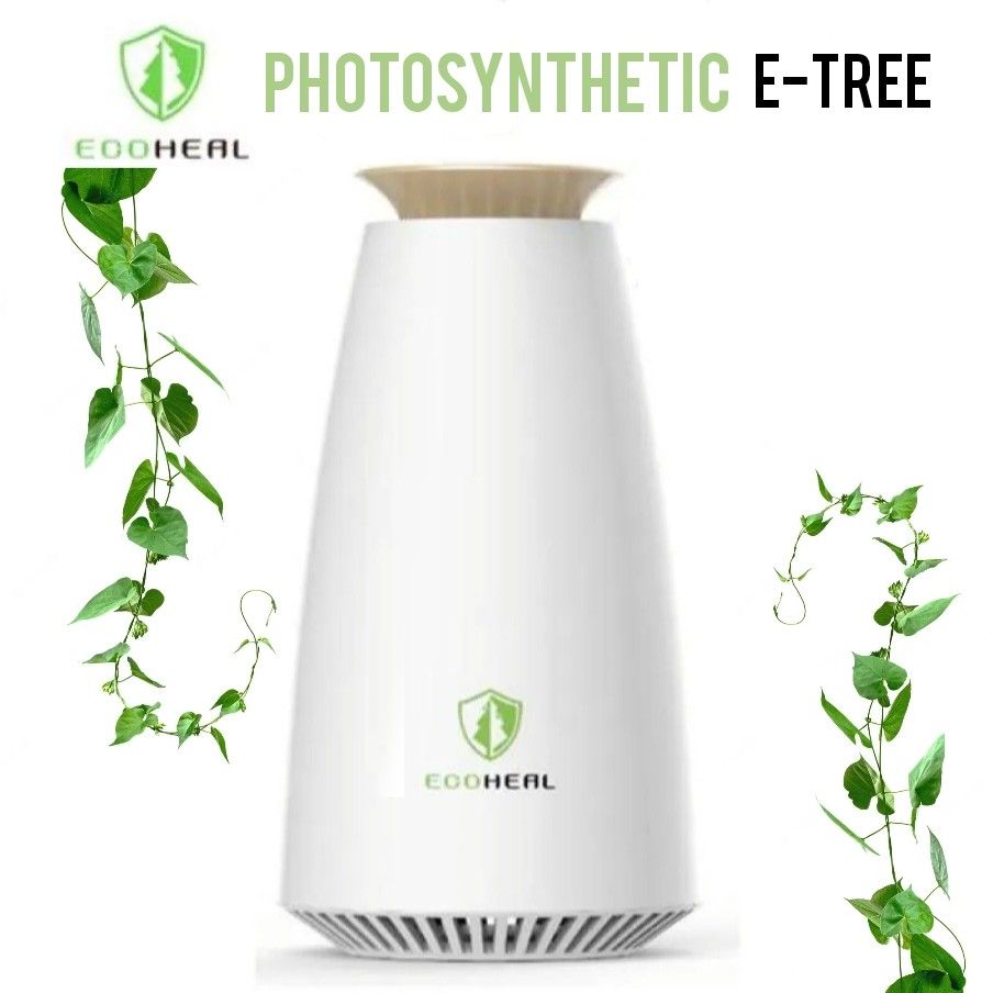 Ecoheal air 2025 purifier price