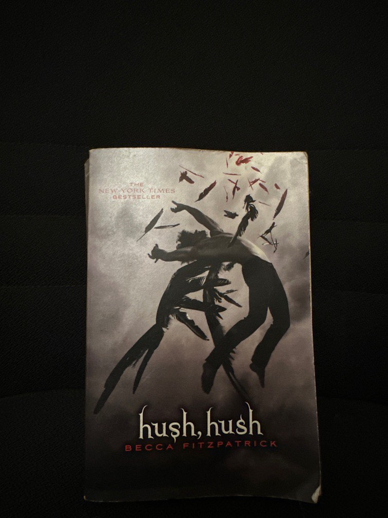 Hush hush book, Hobbies & Toys, Books & Magazines, Fiction & Non