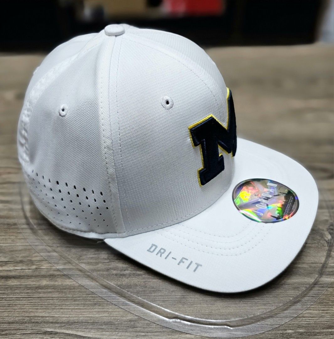 Michigan dri 2025 fit hat
