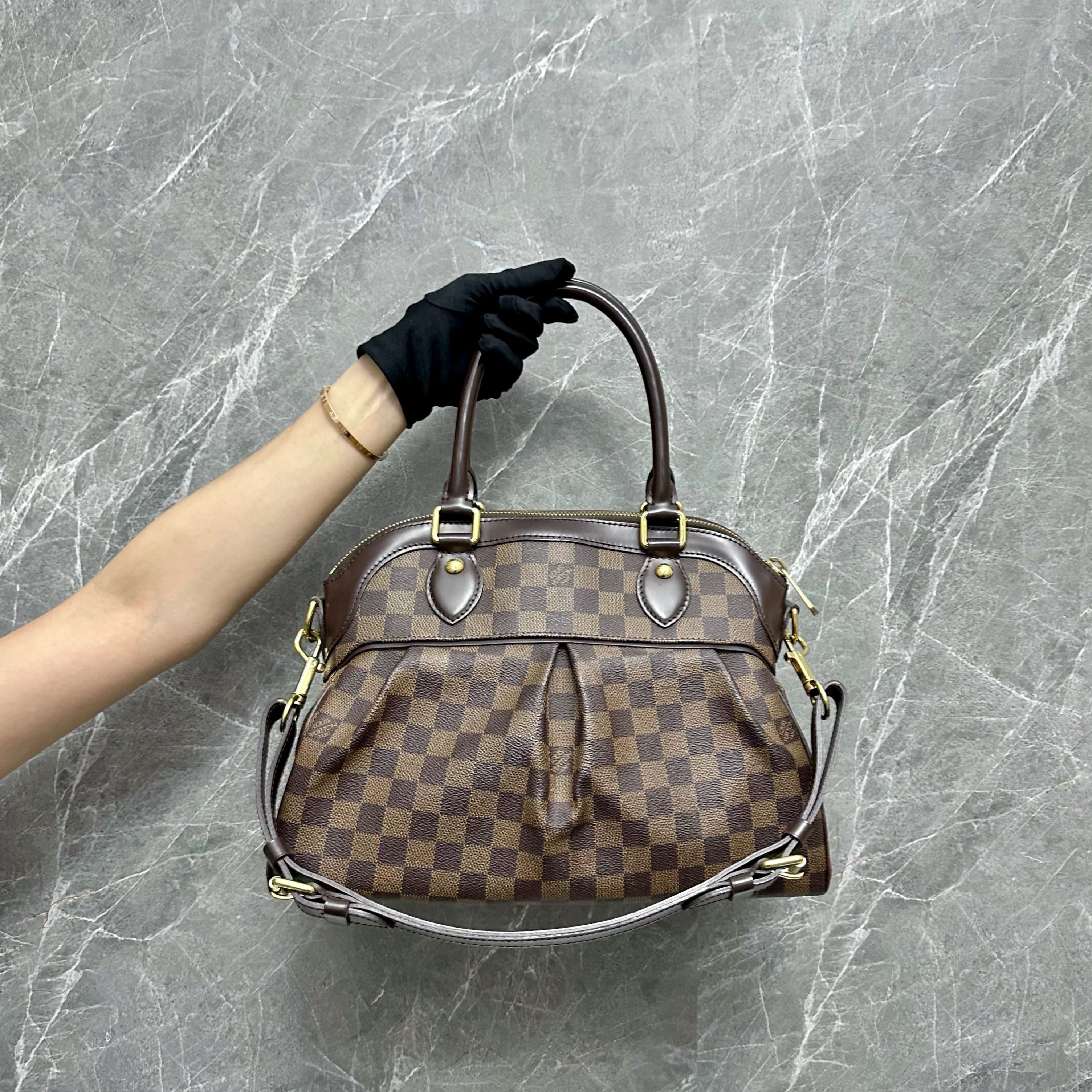 Louis Vuitton Damier Ebene Trevi PM, Luxury, Bags & Wallets on Carousell