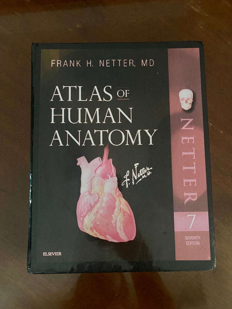 Netter Atlas of Human Anatomy (Hardbound Reprint), Hobbies & Toys ...