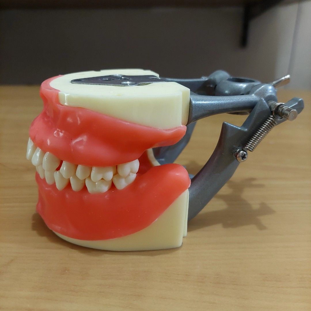 ORAL SURGERY DENTAL ARTICULATOR (OS SS), Health & Nutrition, Medical Supplies & Tools on Carousell
