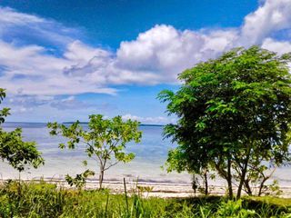 📣Siargao Prime Beach Lot FOR SALE‼️
📍Brgy. Malinao, General Luna, Siargao Island