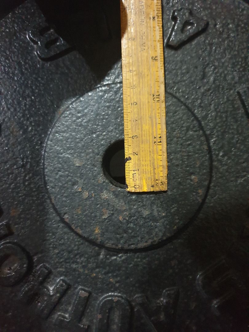 Sports Authority 45 lb Plates (2 Pieces) on Carousell