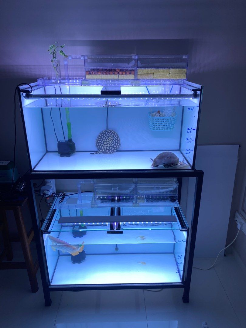 2 tier 3ft fish tank with stand, Pet Supplies, Homes & Other Pet