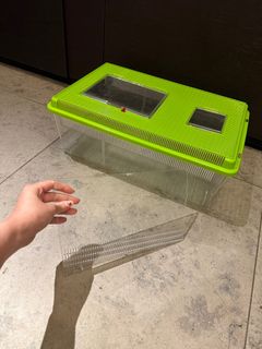 （分類：）位於 。 由 somerset_ 提交（商品編號 1253094794，圖片 1）。簡介： 。