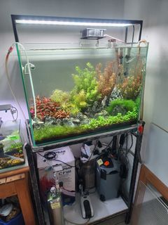 (Category: ) located in . Submitted by ahshan_boy (Listing ID 1253075766, Image 1). Description: .