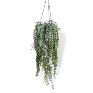 (Category: ) located in . Submitted by altonflowerscomm (Listing ID 1253032327, Image 1). Description: .