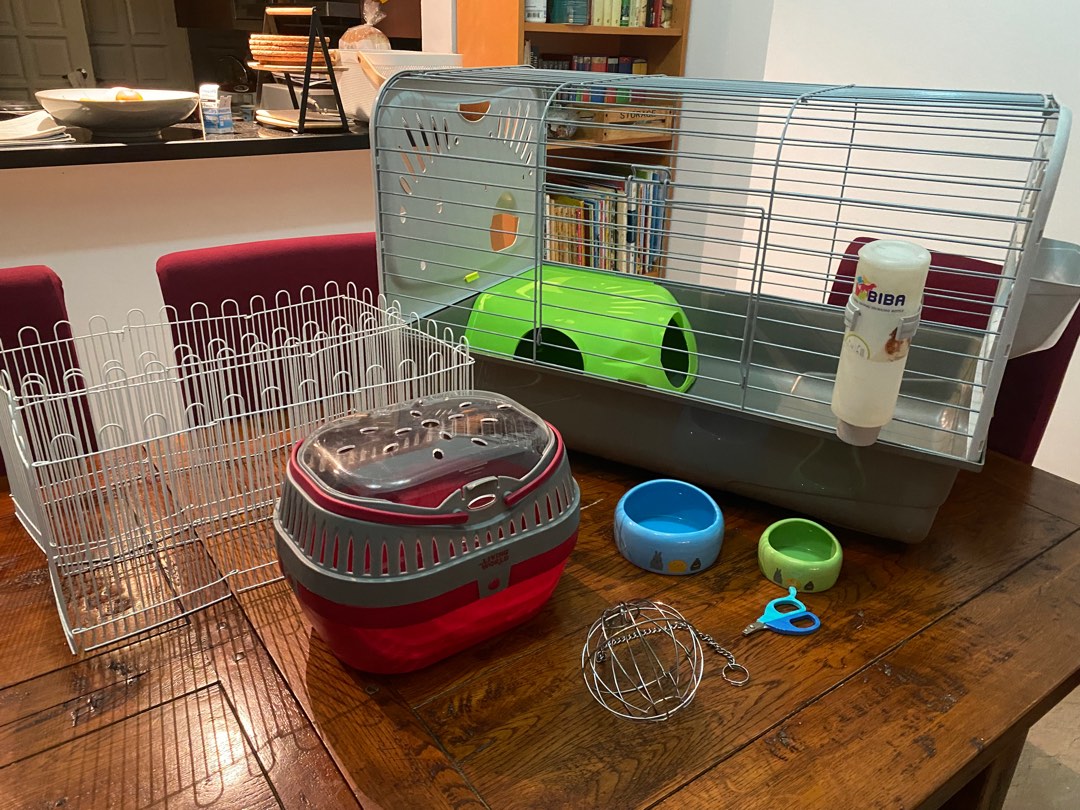Guinea Pig Cage and Accessories, Pet Supplies, Homes & Other Pet