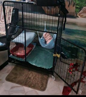 (Category: ) located in . Submitted by juriah123 (Listing ID 1253127956, Image 1). Description: .
